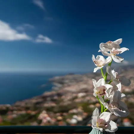 Atlantic Ocean View By Hr Madeira Apartment Funchal  Exterior photo